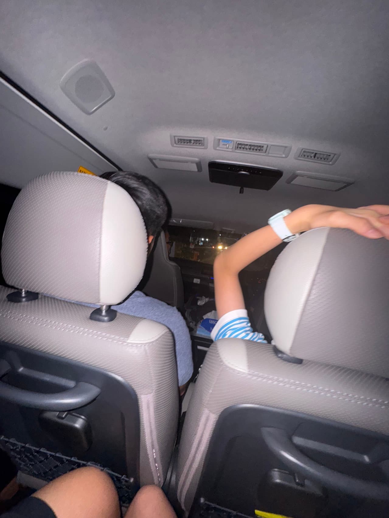 View from the van after landing