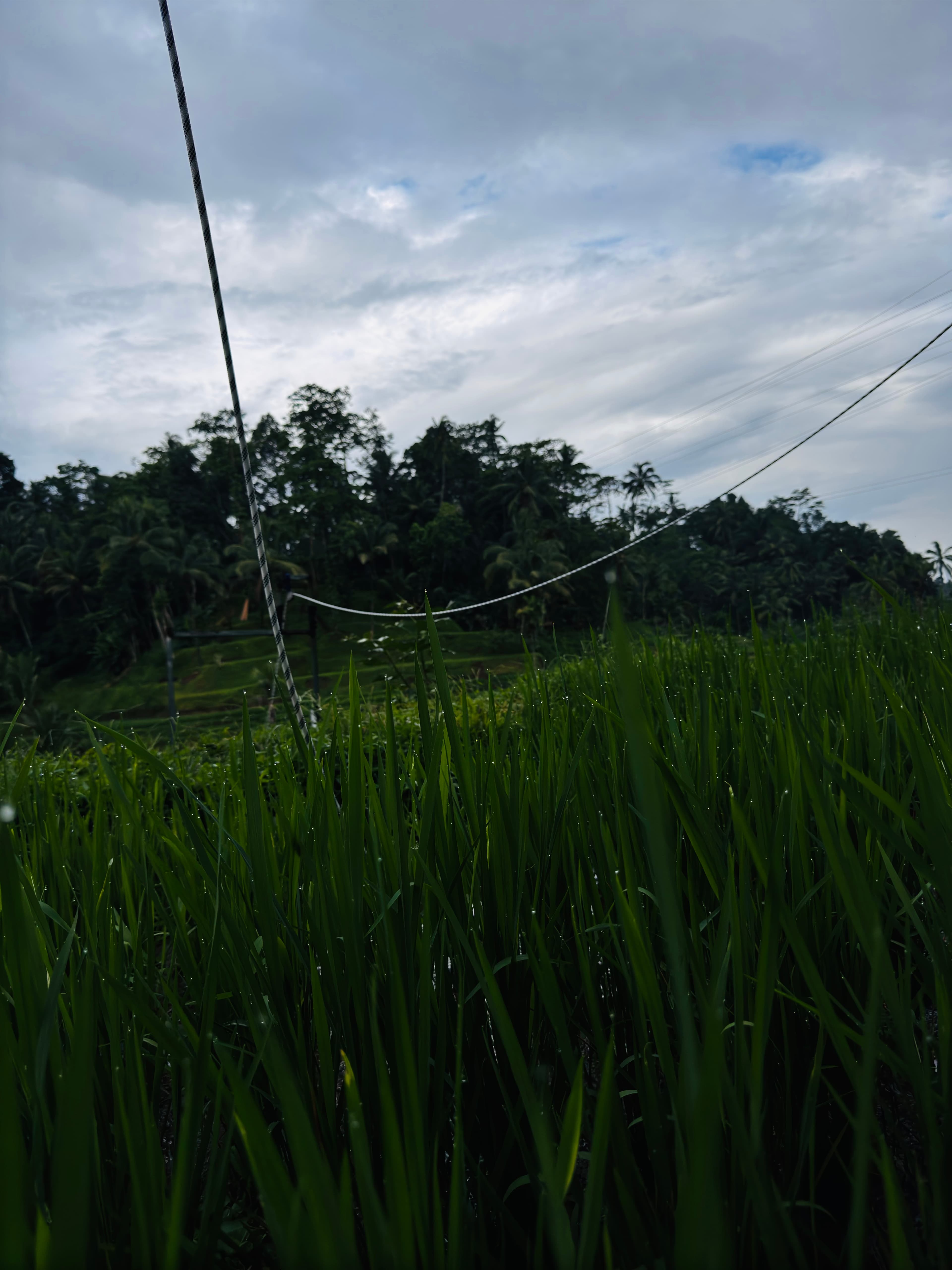 Zip line and mountain activity