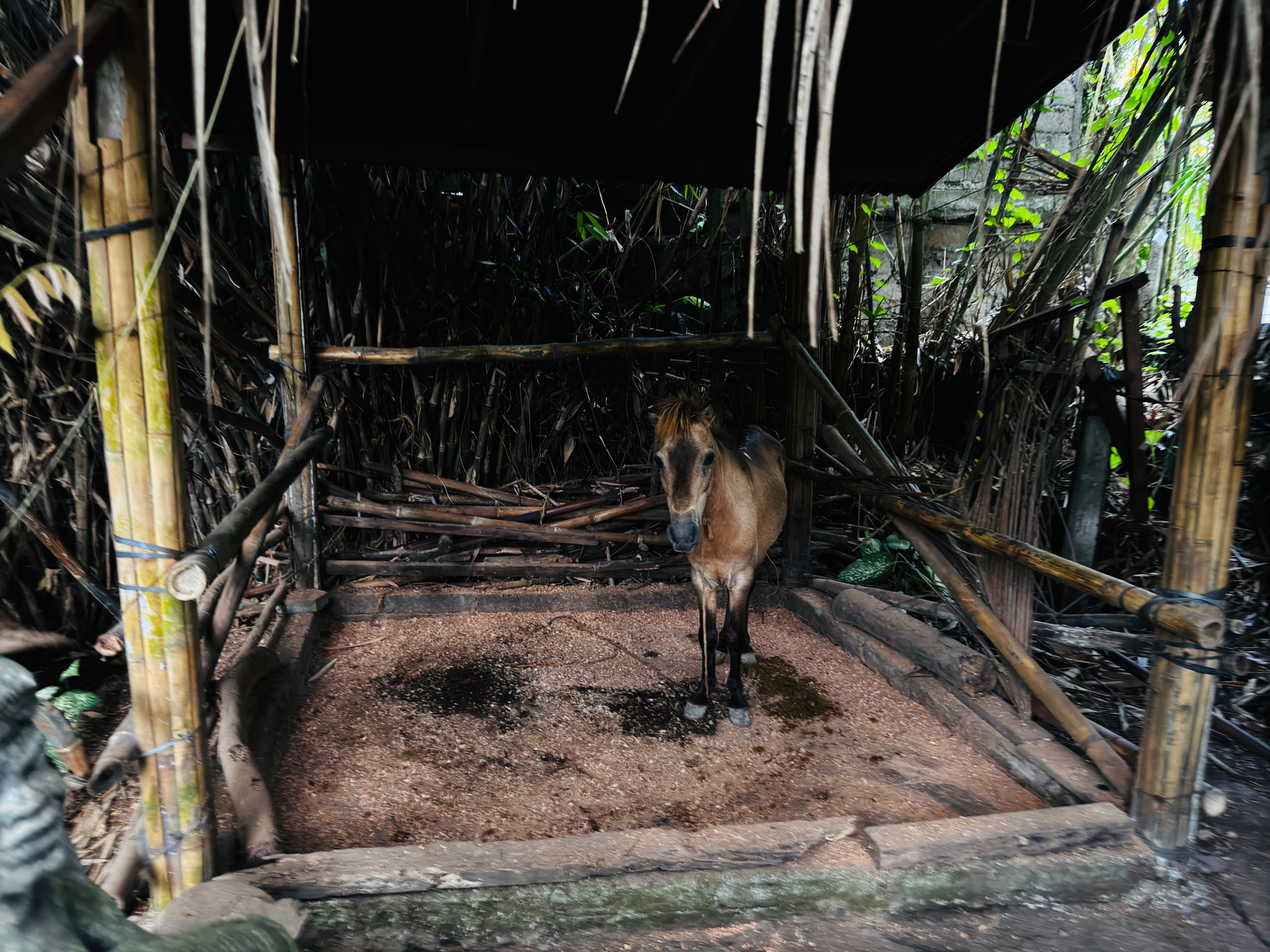 Interior detail from the village