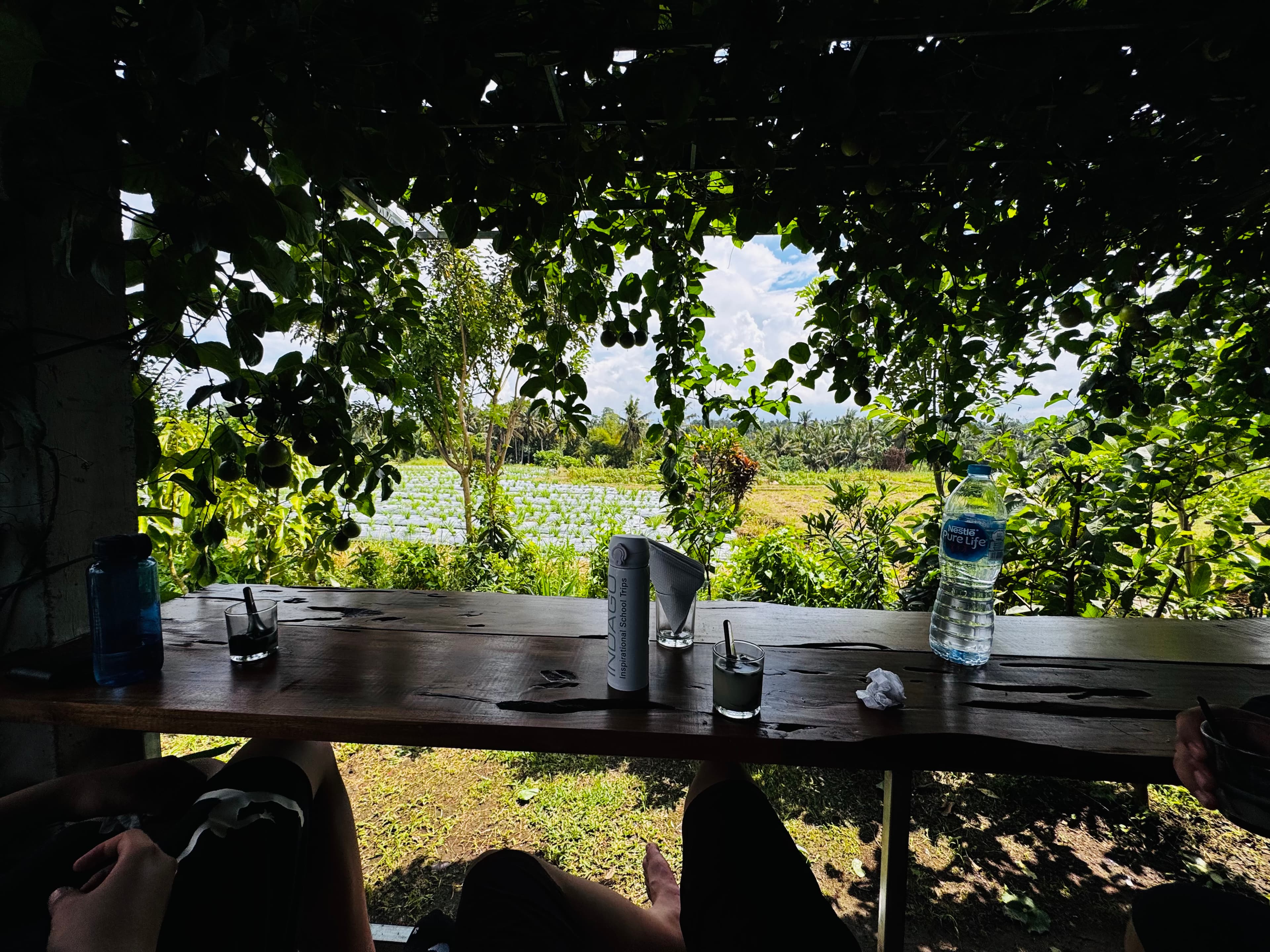 Wooden cabin in nature